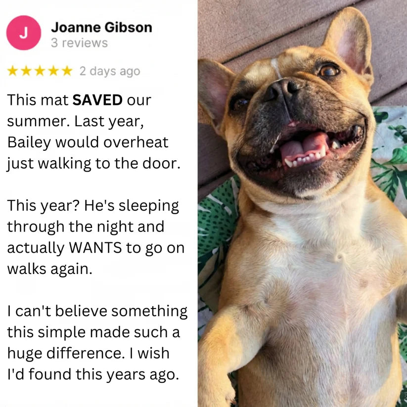 Petsume™ DreamPaws CoolBreath Mat