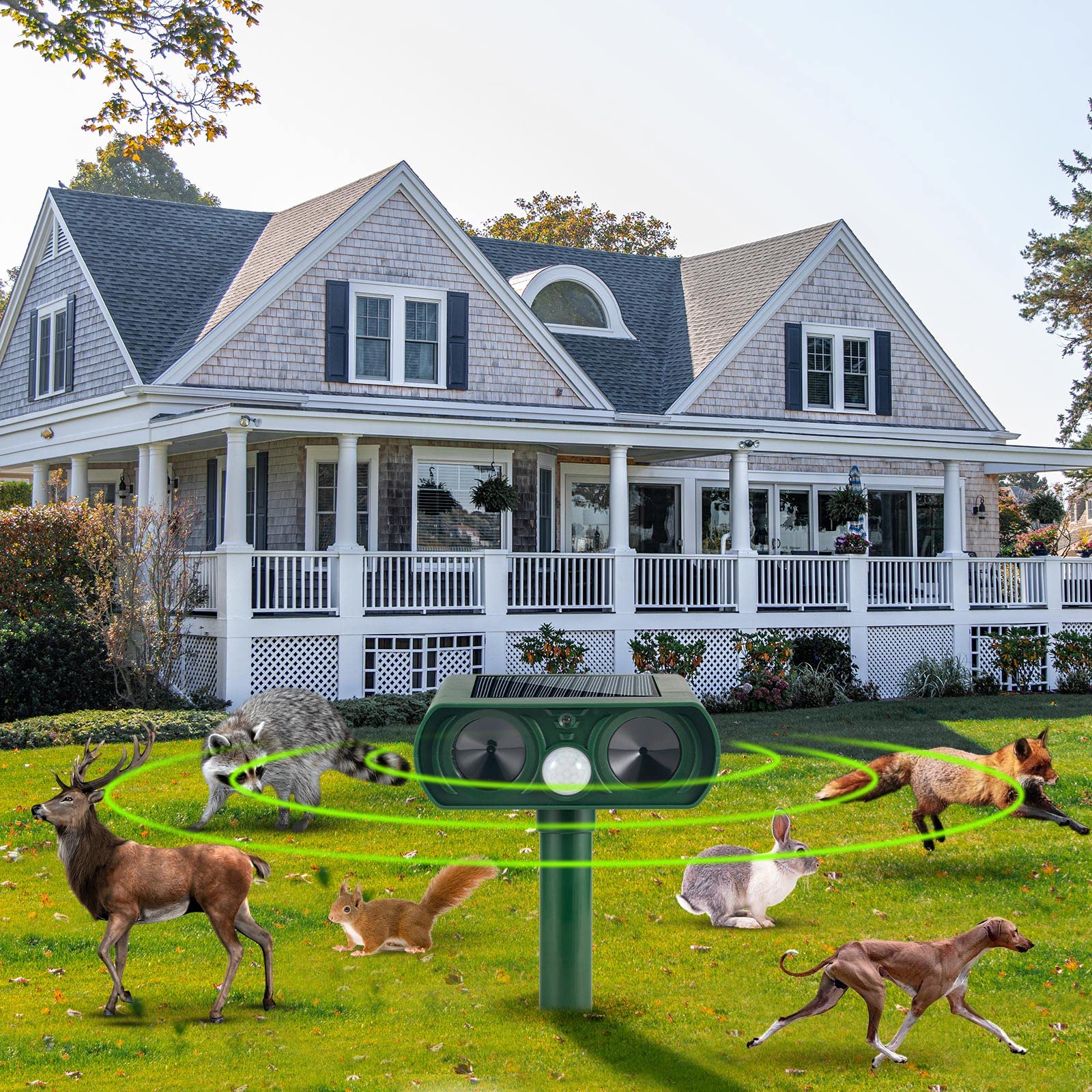 Solar Ultrasonic Mouse Repeller