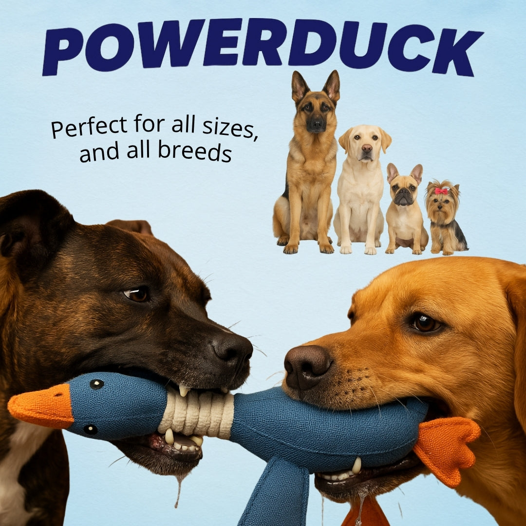 Produktbild 2 ENG powerduck.jpg__PID:5c674f21-6956-4eca-9715-91efd72f38e4