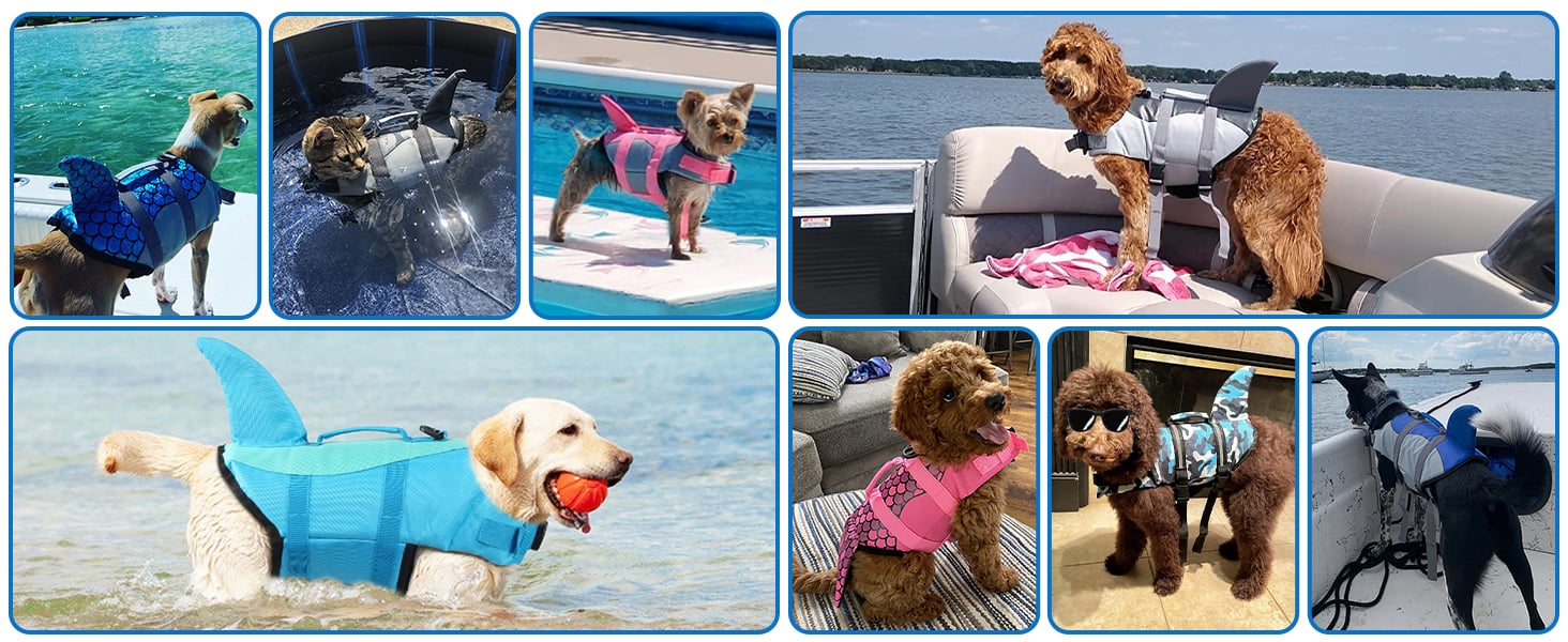 dog life jackets