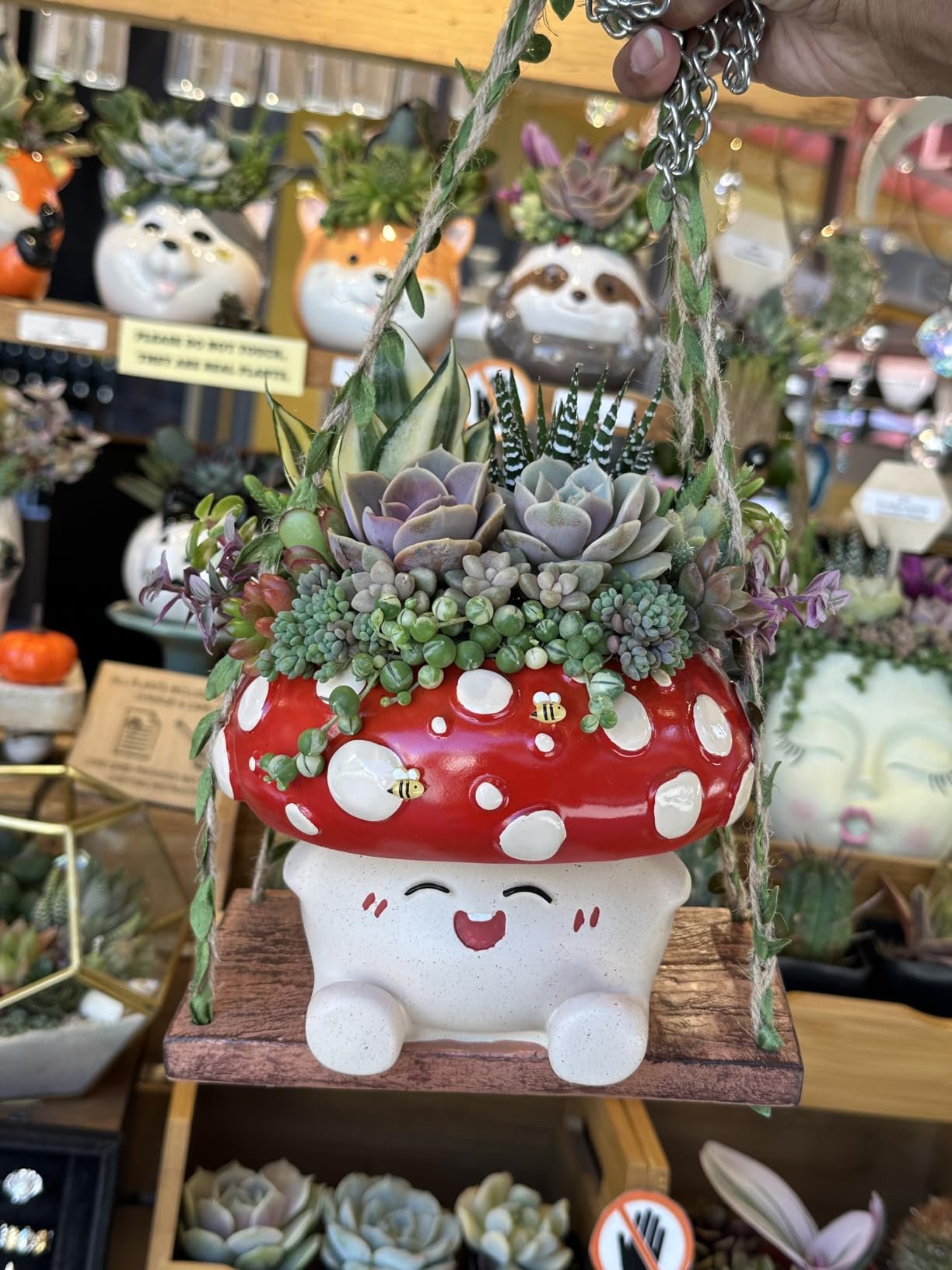 🍄 Whimsical Ceramic Mushroom Hanging Planters 🌼