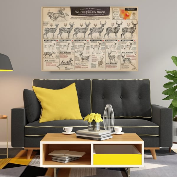 🦌"THE GROWTH AND MATURITY OF THE WHITE-TAILED BUCK"CANVAS PRINTS
