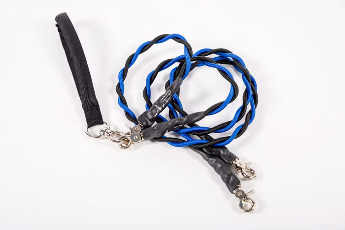 🔥Last Day🔥🐕Double Bungee Leash - 1st step training tool