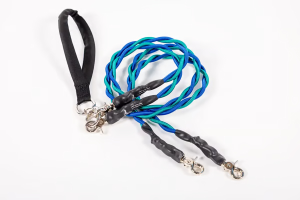 🔥Last Day🔥🐕Double Bungee Leash - 1st step training tool