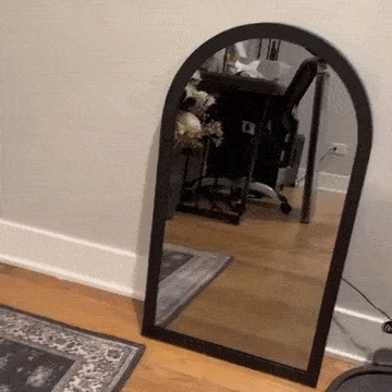 🔥49% OFF - 👻2025 Ghost Mirror