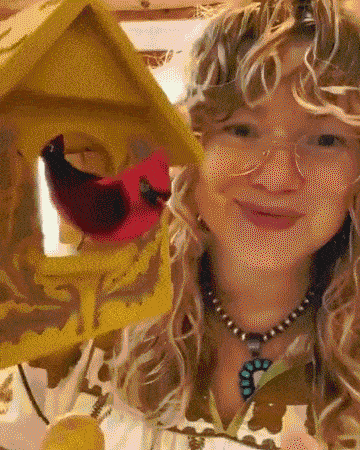 🔥LAST DAY 50% OFF-Whimsical Kinetic Art Birdhouse Wall Decor(✨Same as in the video)