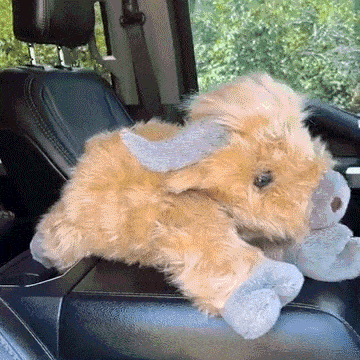 🔥HOT SALE 49% OFF🐮Highland Cow Plush