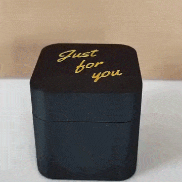 🎁Middle Finger in a Box