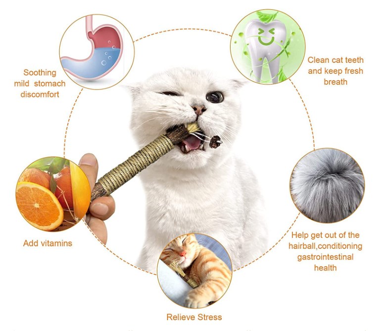 Natural Silvervine Stick Cat Chew Toy