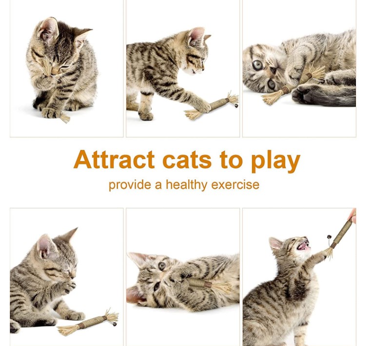 Natural Silvervine Stick Cat Chew Toy