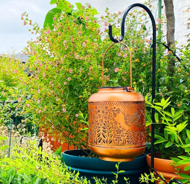 Outdoor Waterproof Hummingbird Solar Lanterns 