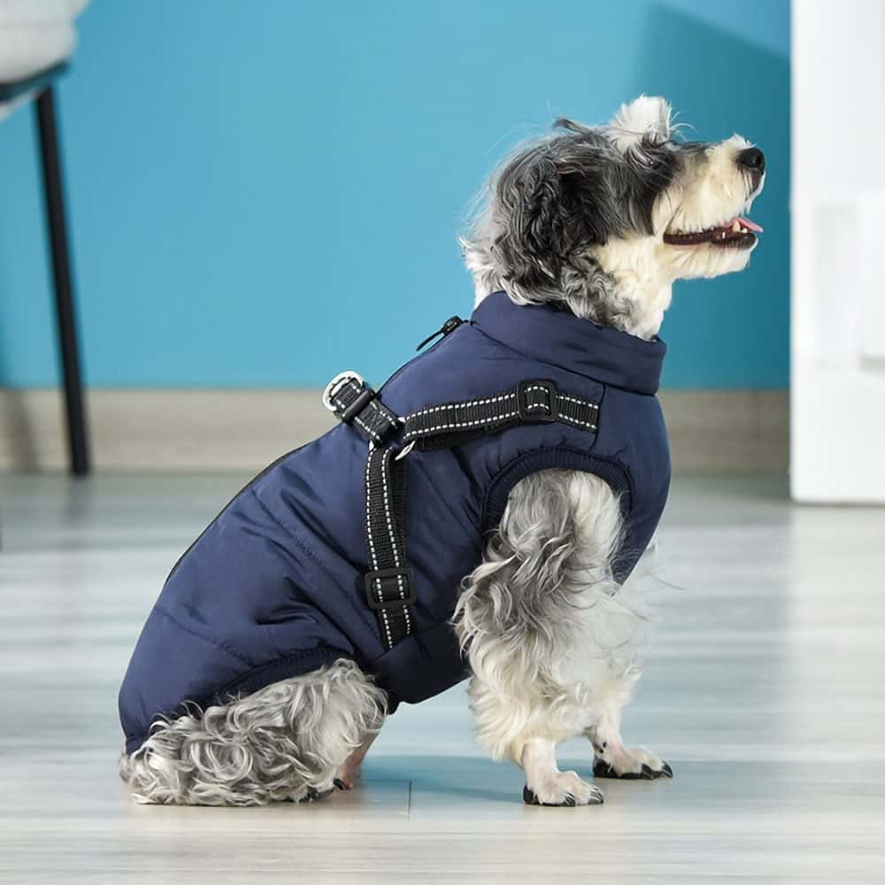 Waterproof Winter Dog Jacket With Built-In Harness