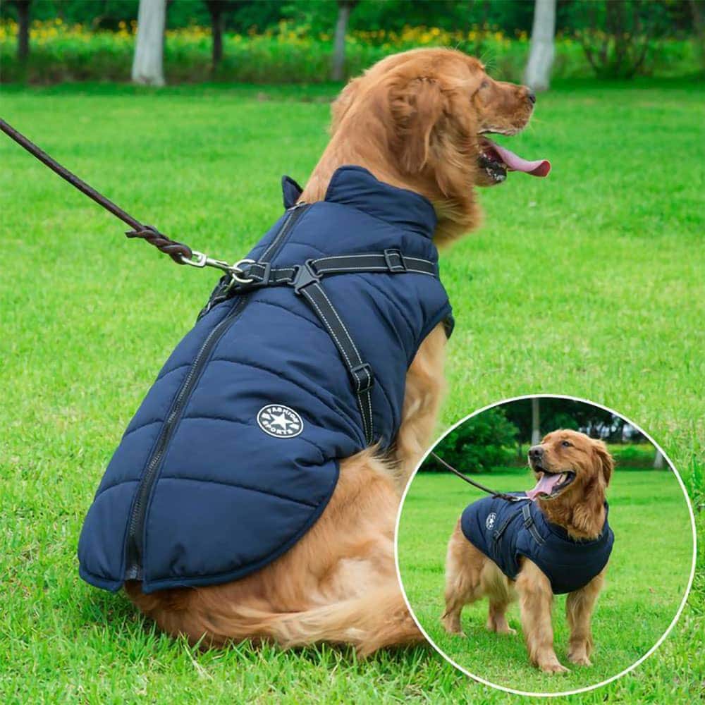 Waterproof Winter Dog Jacket With Built-In Harness