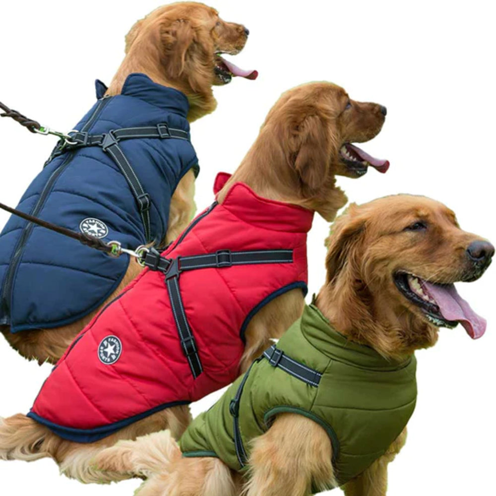 Waterproof Winter Dog Jacket With Built-In Harness