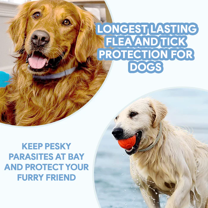 Petsboro™ 8 Months Flea and Tick Free