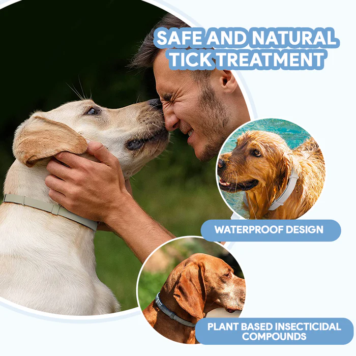Petsboro™ 8 Months Flea and Tick Free