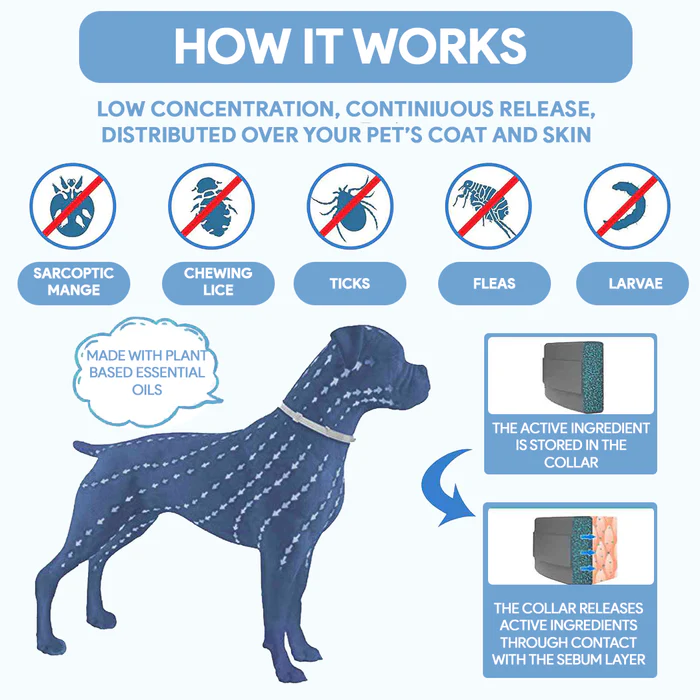 Petsboro™ 8 Months Flea and Tick Free