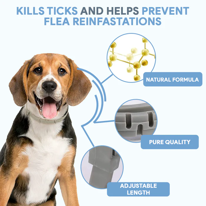 Petsboro™ 8 Months Flea and Tick Free