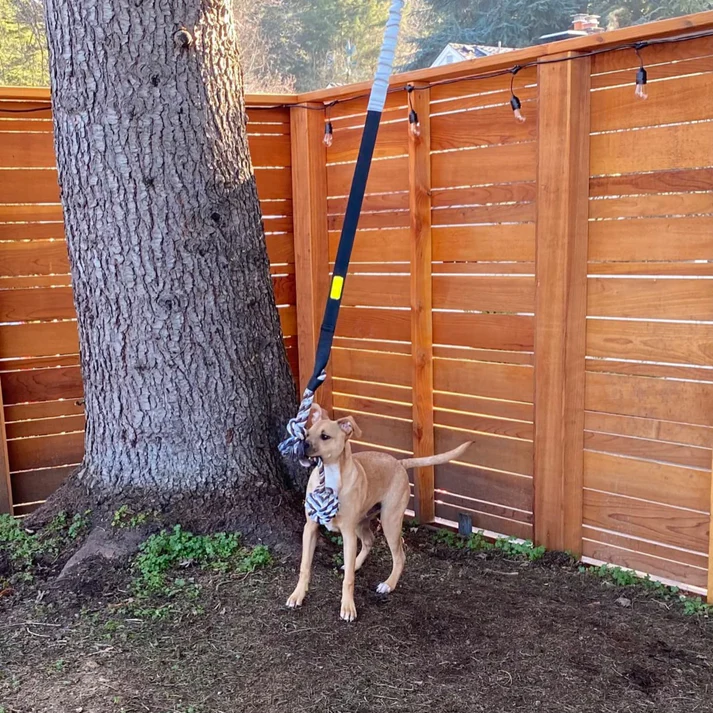 Petsboro™ - Tire Out Your Dog in Minutes