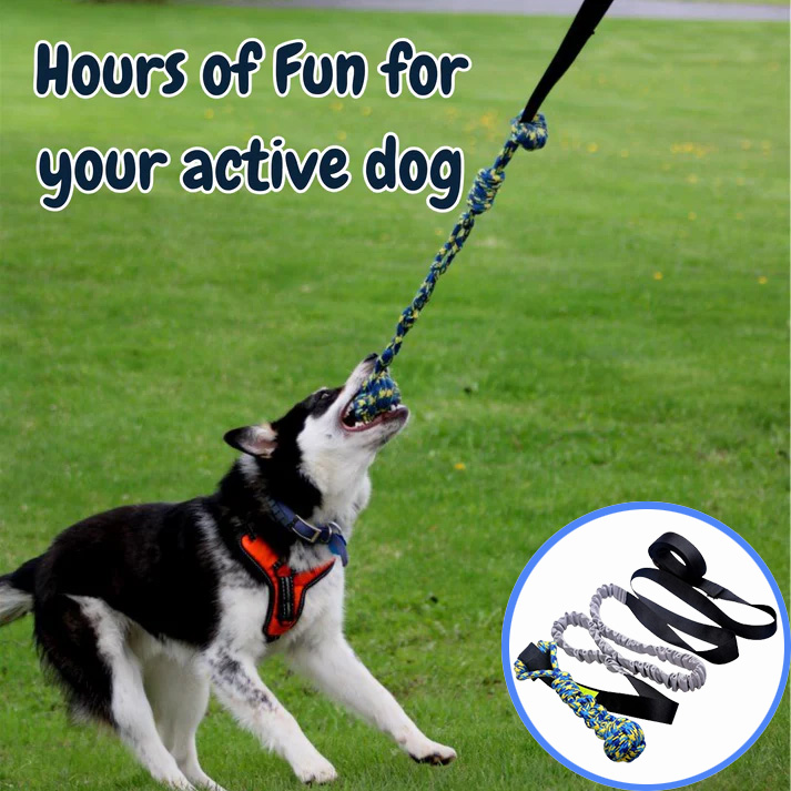Petsboro™ Tug of War Dog Toy - Tire Out Your Dog in Minutes