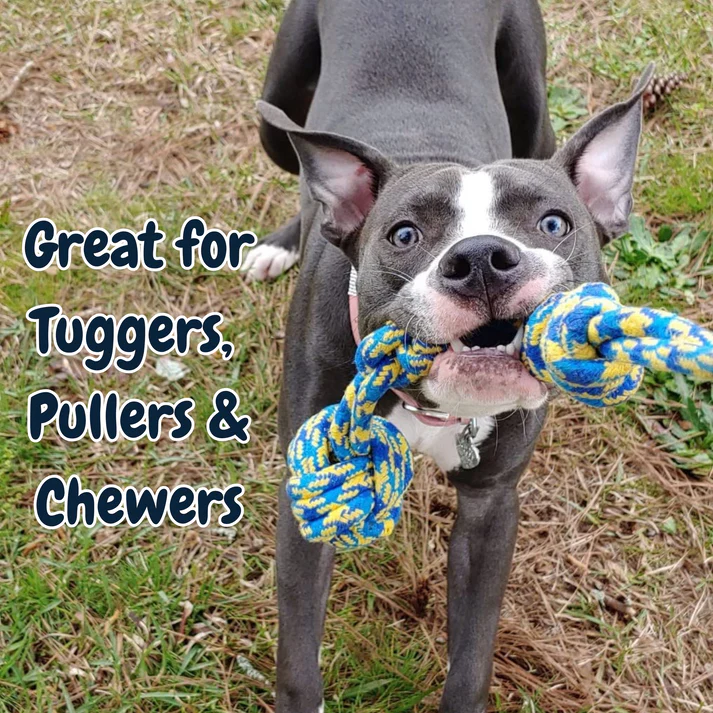 Petsboro™ - Tire Out Your Dog in Minutes