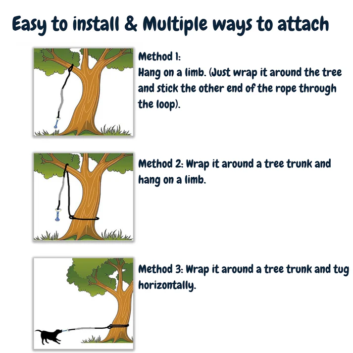 Petsboro™ - Tire Out Your Dog in Minutes