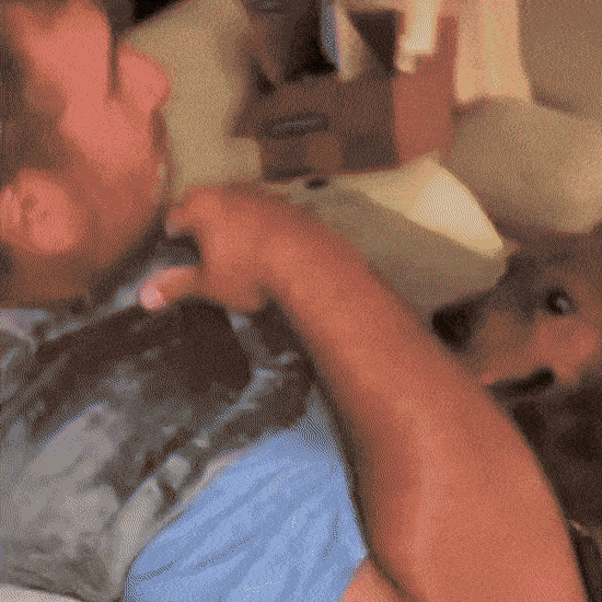 GIF 2.gif__PID:11cd44e2-3834-4289-8cda-5998a6a5c029