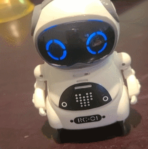 Smart Interactive Cute Mini RC Robot Toys