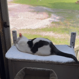 Foldable Cat Beds for Indoor Cordless Cat Window Perch