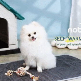 Washable Anti-Slip Self Heating Dog/Cat Mat