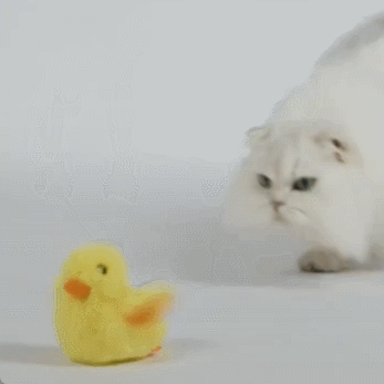 Cat Toys Flapping Bird