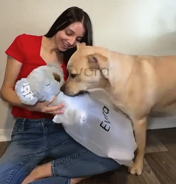 🐨Pet Calming Relief Breathing Stuffed Koala