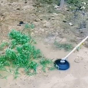 Dragon Claw Weeding Tray