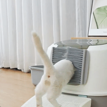 Automatic Pet Hair Removal Brush