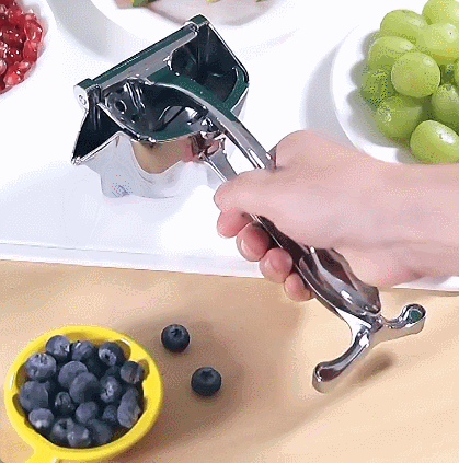 🍹Hand Juicer Squeezer