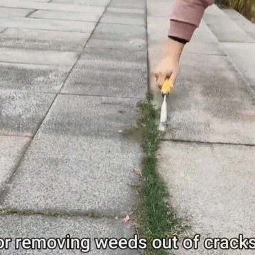 Stainless Steel Crevice Weeding Tool with Wooden Handle