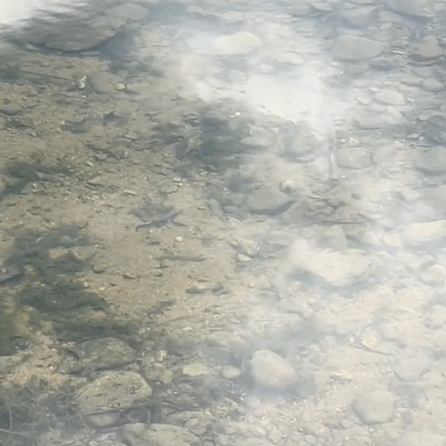 Fishing Glasses To See Fish in Water Sunglasses Men for Driving