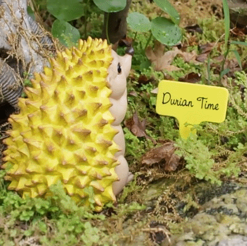 🌽🐰Corn Time Garden Bunny Statue