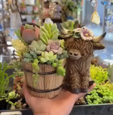 🌸 Adorable Highland Cow Succulent Planter – A Heartfelt Mother’s Day Gift