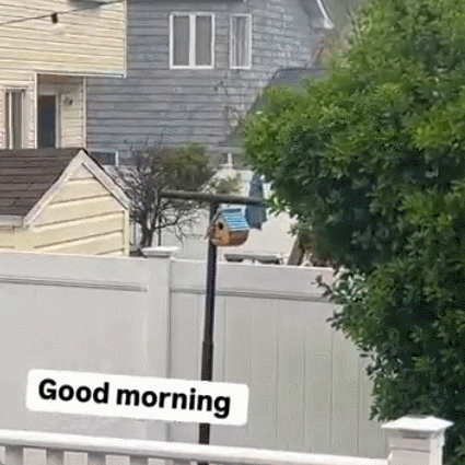 Eco-Coated Cedar Birdhouse for Small Backyard Birds