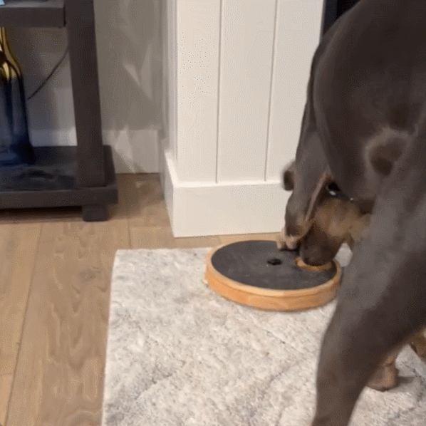 Petlori™ 2-in-1 Dog Nail Scratch Board & Interactive Treat Toy