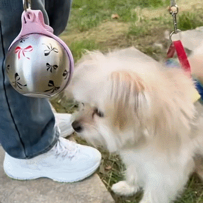 Petsume™ Elite Stainless Steel Portable Dog Water Bottle