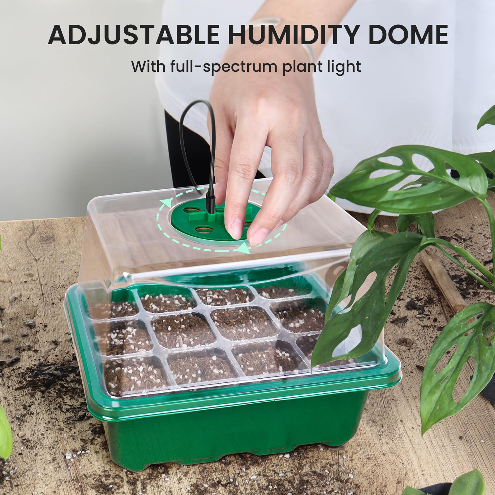 🔥Last Day Promotion 49% OFF🔥Seed Starter Trays with Grow Light