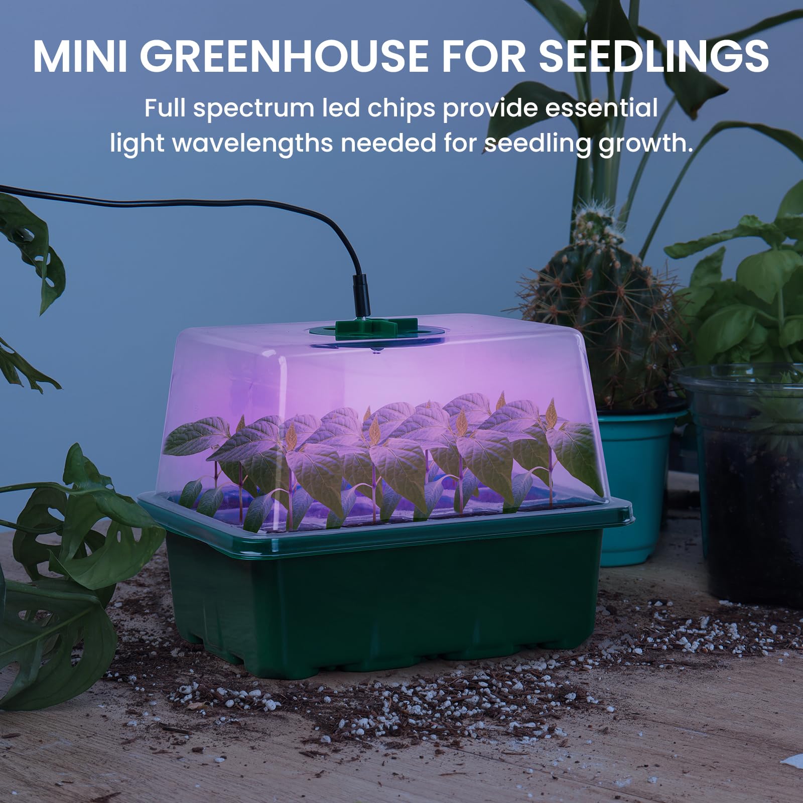 🔥Last Day Promotion 49% OFF🔥Seed Starter Trays with Grow Light