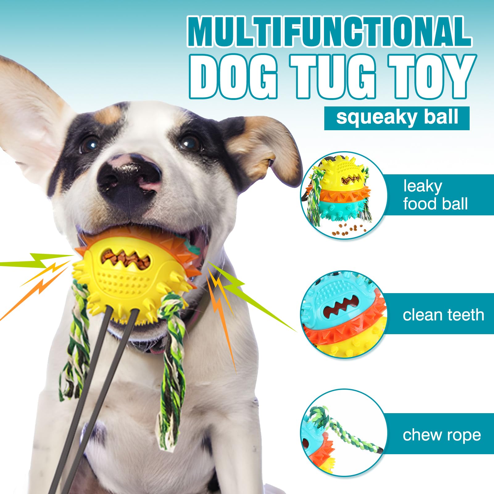 Suction cup toys for dogs who like to chew