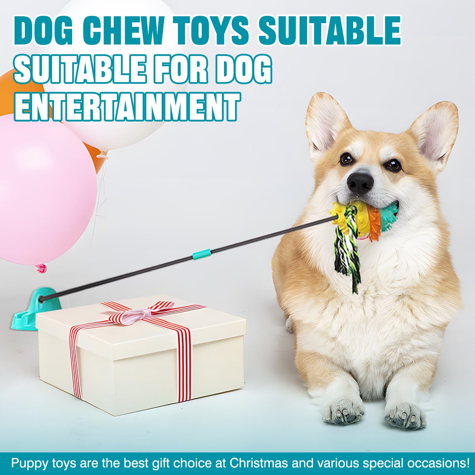 Suction cup toys for dogs who like to chew