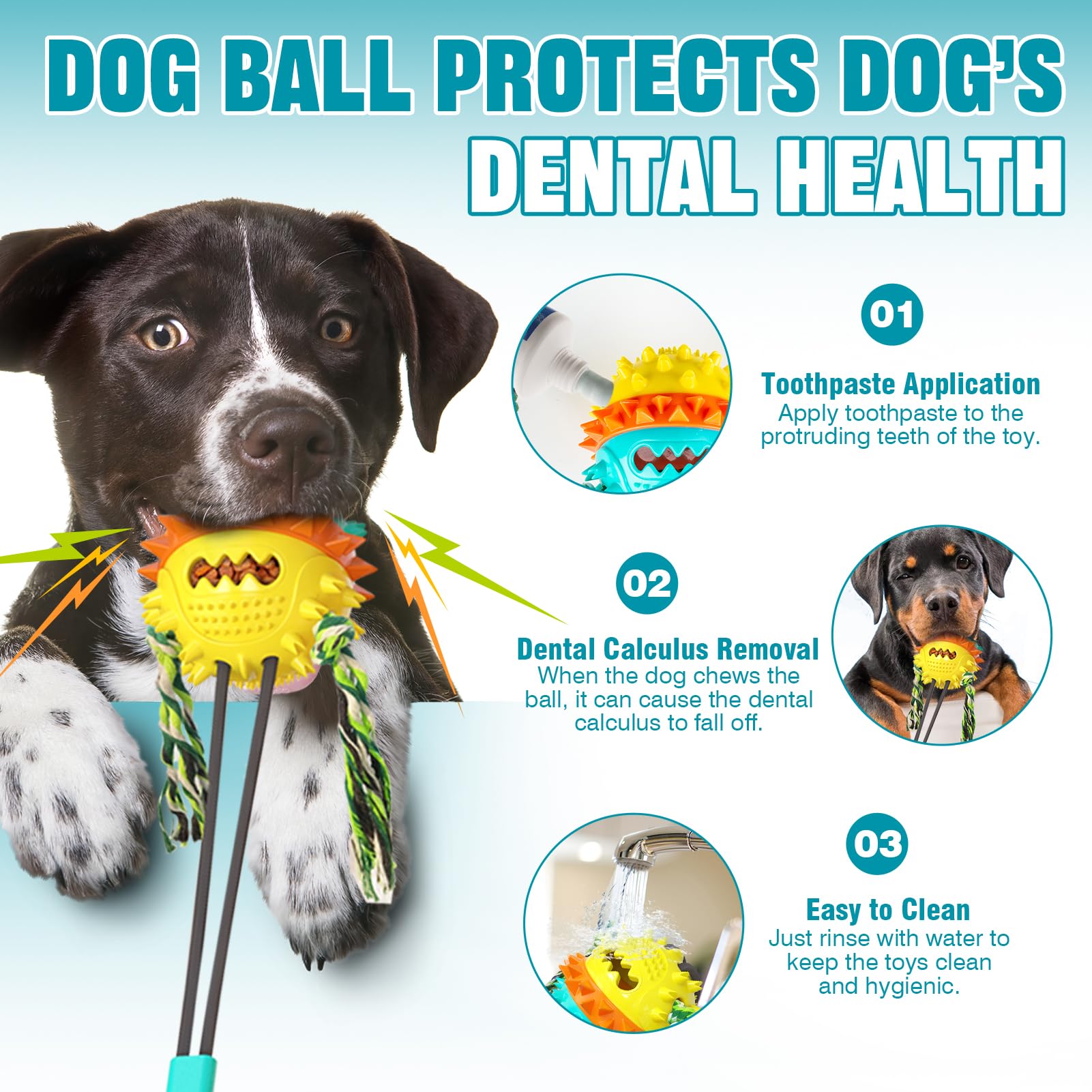 Suction cup toys for dogs who like to chew