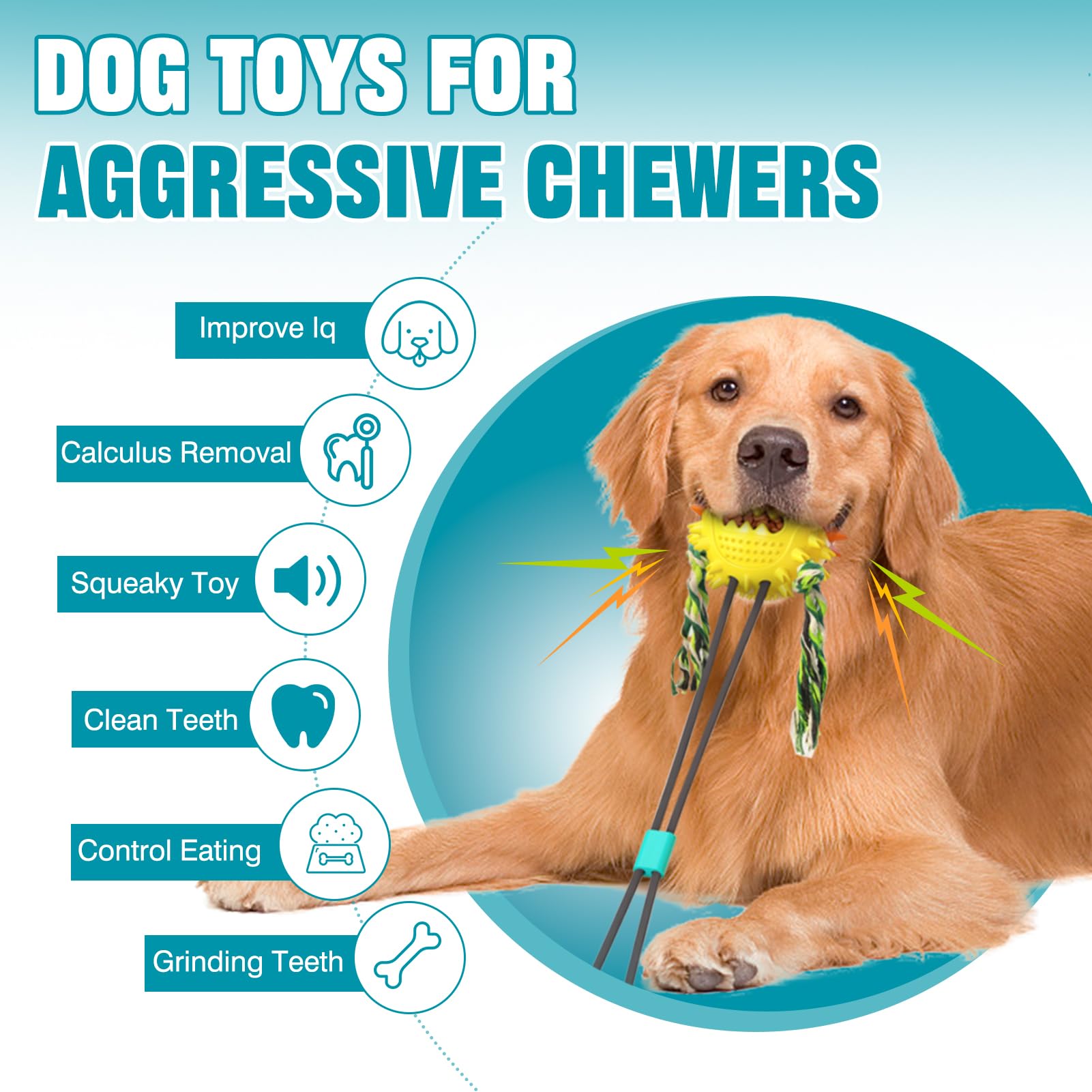 Suction cup toys for dogs who like to chew