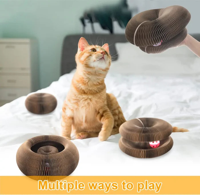 Magic Organ Cat Toy