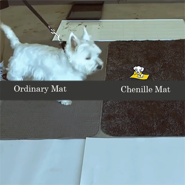 Chenille Absorbent Pet Floor Mat